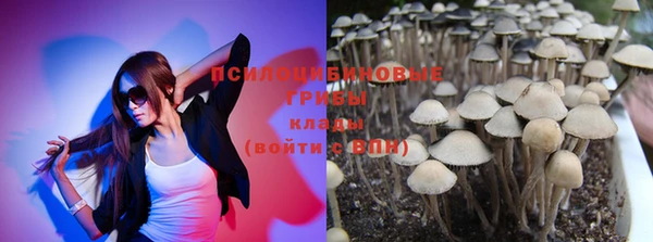 гидра Кулебаки