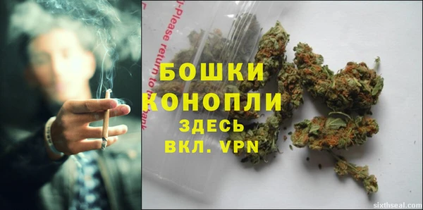 гидра Кулебаки