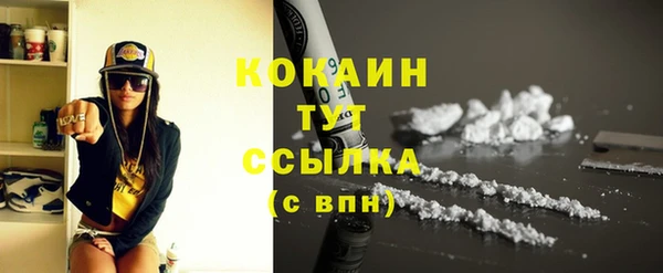 гидра Кулебаки