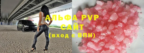 прущие грибы Краснотурьинск