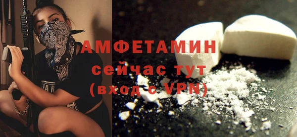 гидра Кулебаки