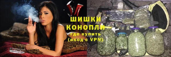 гидра Кулебаки