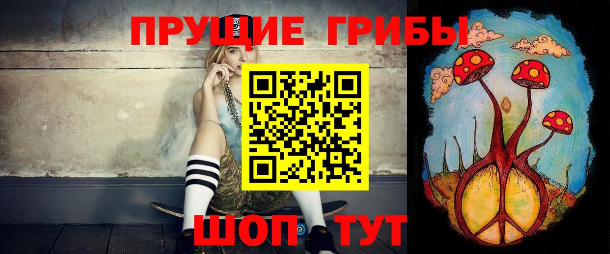 Рузаевка  Псилоцибиновые грибы Psilocybe  Вход с VPN 